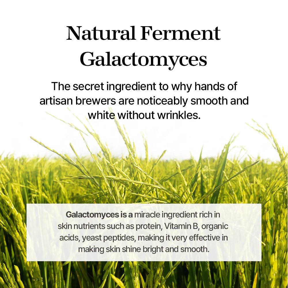 Koncentruota veido esencija su fermentuotų mielių filtratu "Galactomyces Ferment Essence", 100 ml