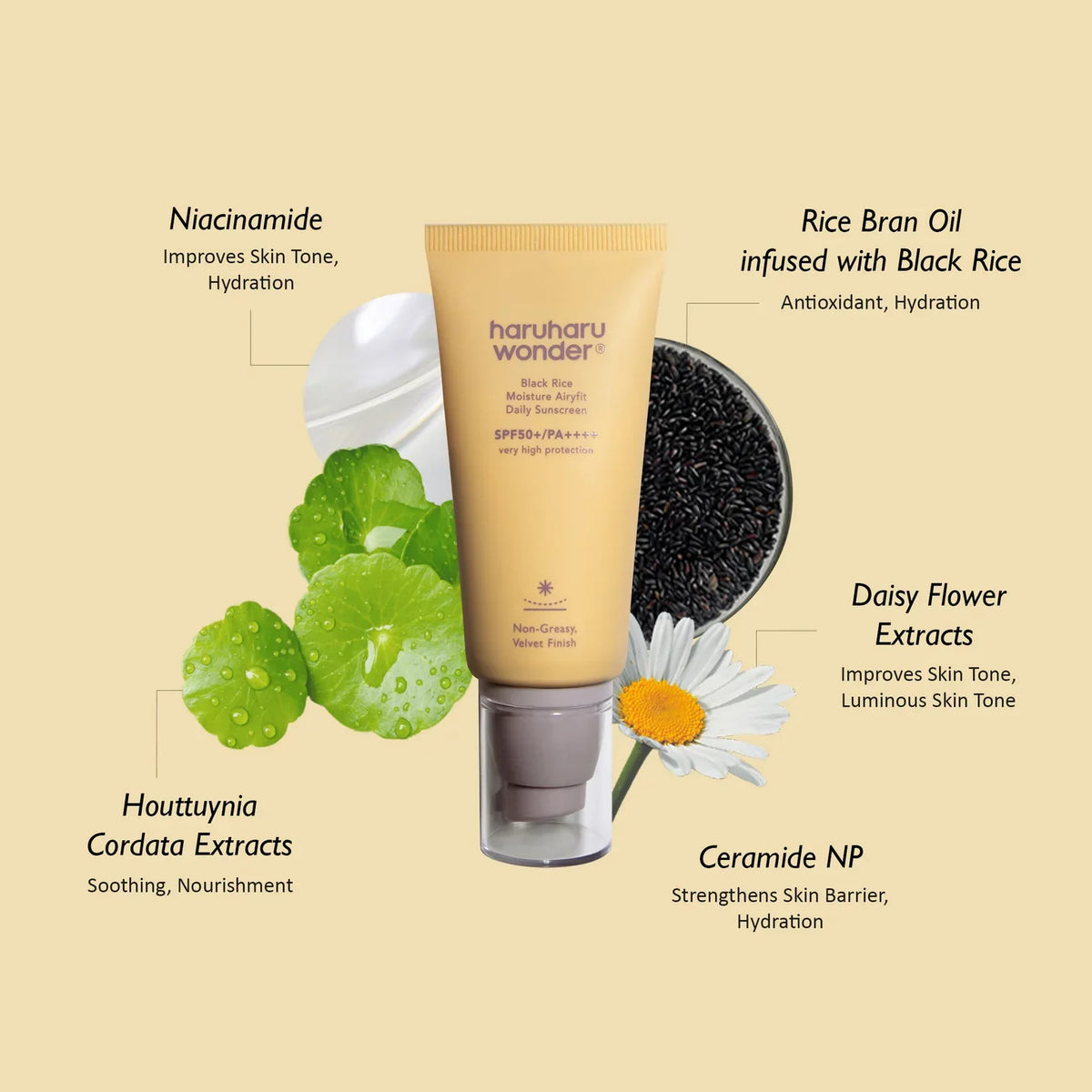 Apsauginis kremas nuo saulės "Black Rice Moisture Airyfit Daily Sunscreen SPF50+ PA++++", 50 ml