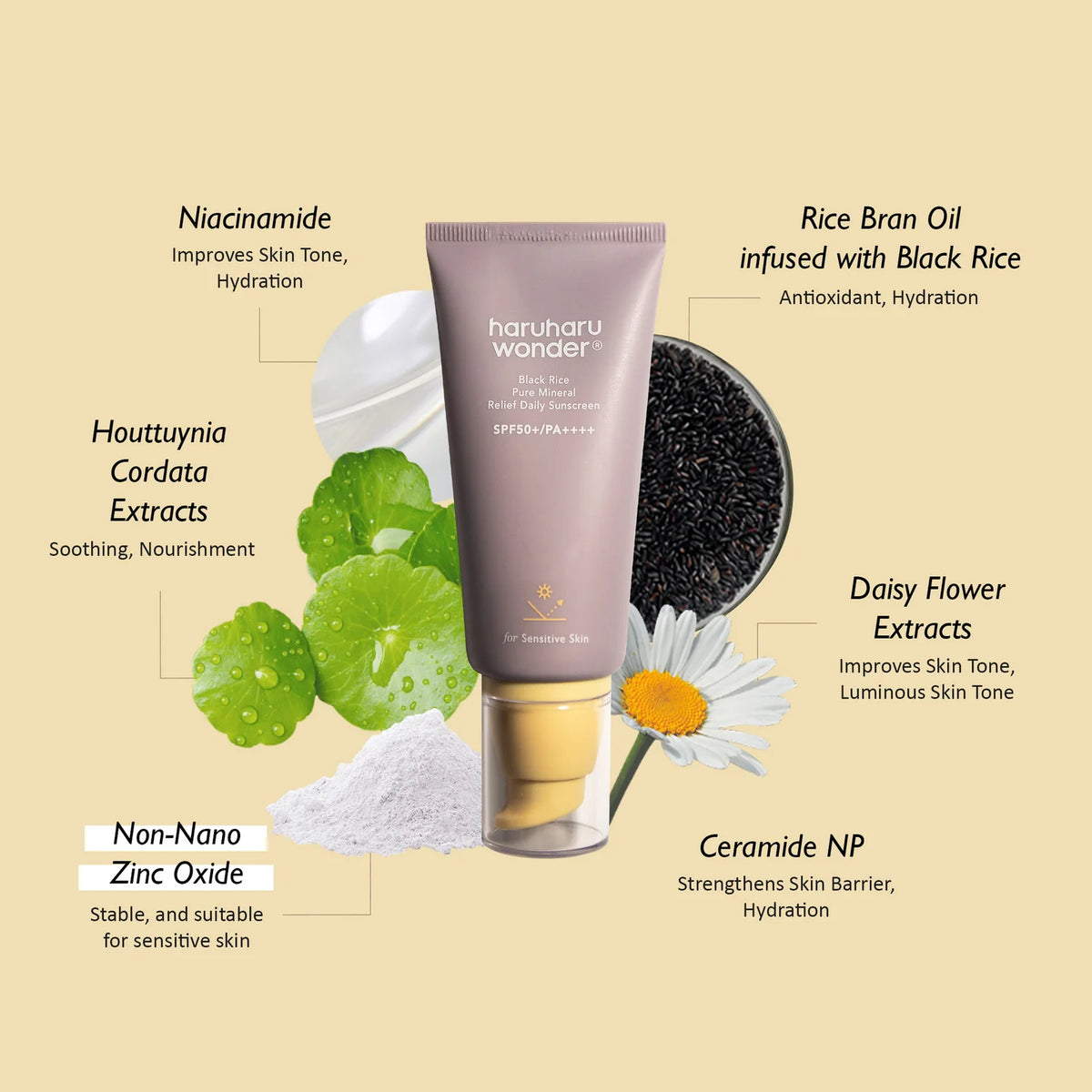 Apsauginis veido kremas nuo saulės "Black Rice Pure Mineral Relief Daily Sunscreen SPF50+ PA++++", 50 ml