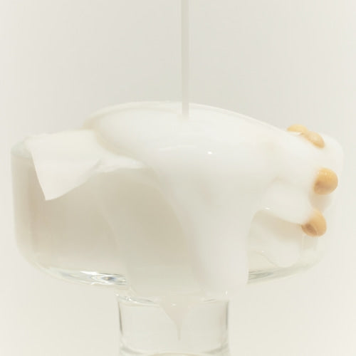 Padeliai su sojų pupelių ekstraktu "Soybean Milk Pad", 10 vnt.